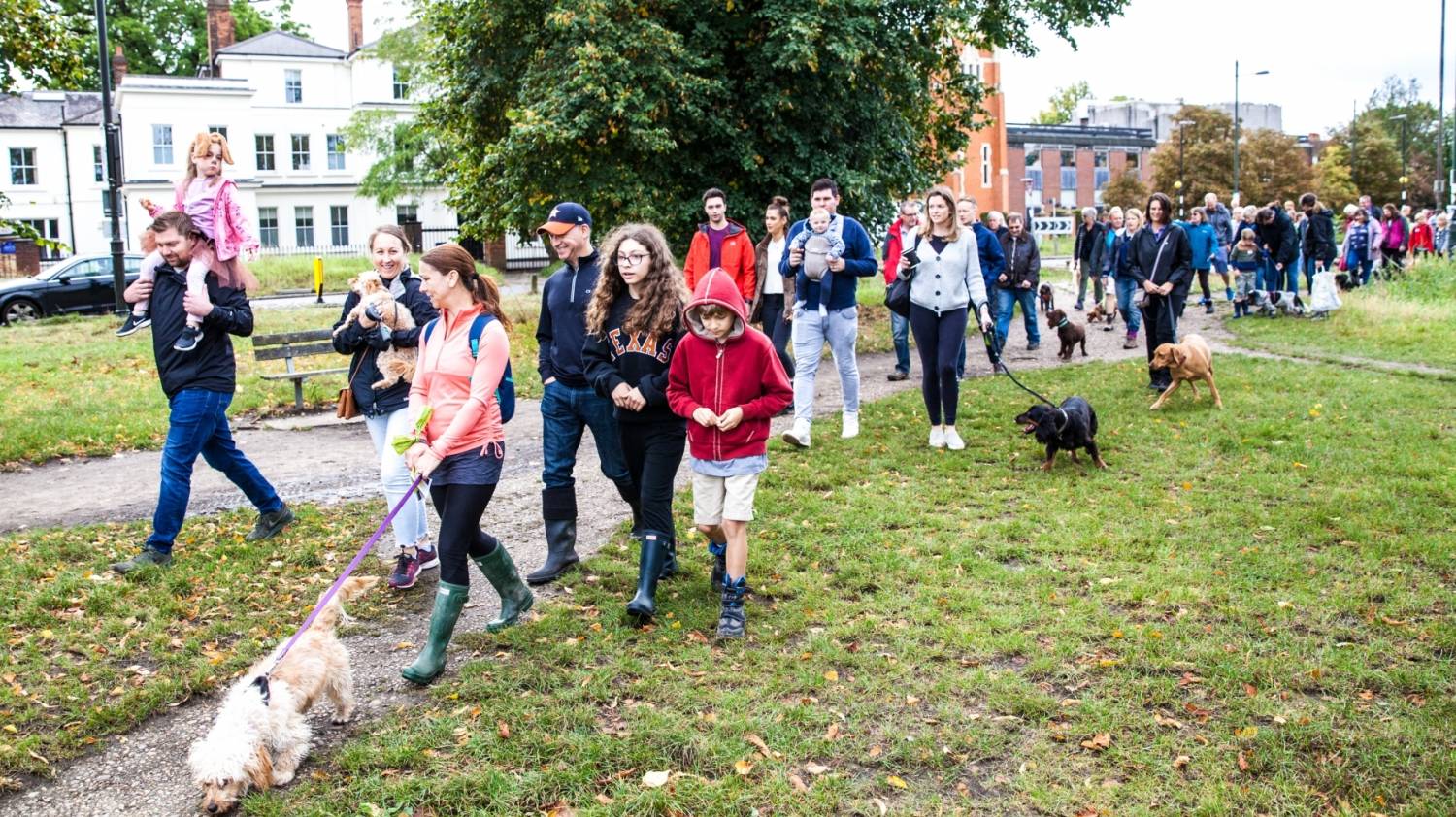 Great british dog walk hot sale 2019